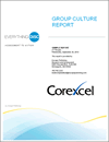 Everything DiSC Group Culture Report
