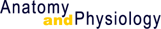 Anatomy and Physiology Online Course