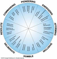 Circular Model for DiSC 360 Feedback Profile