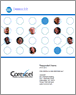 Online DiSC Profile Spanish Version