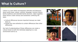 Diversity Awareness Online Course Screenshot