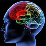 Frontotemporal Disorders