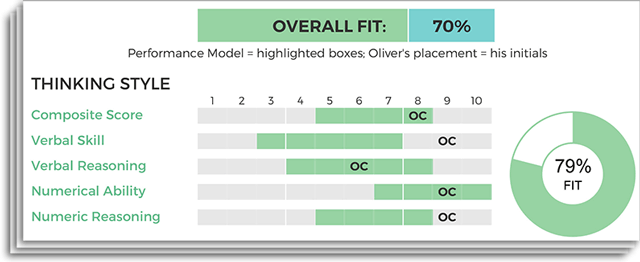 Comprehensive Selection Hiring Report Sample Slice