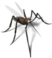 The HIV virus cannot survive in the mosquito.