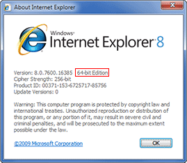 Internet Explorer 8 Screen Shot