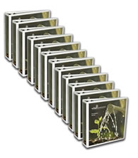 Leadership Essentials Series