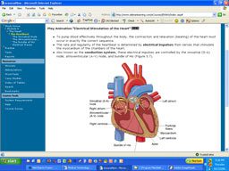 Which professions require medical terminology courses?